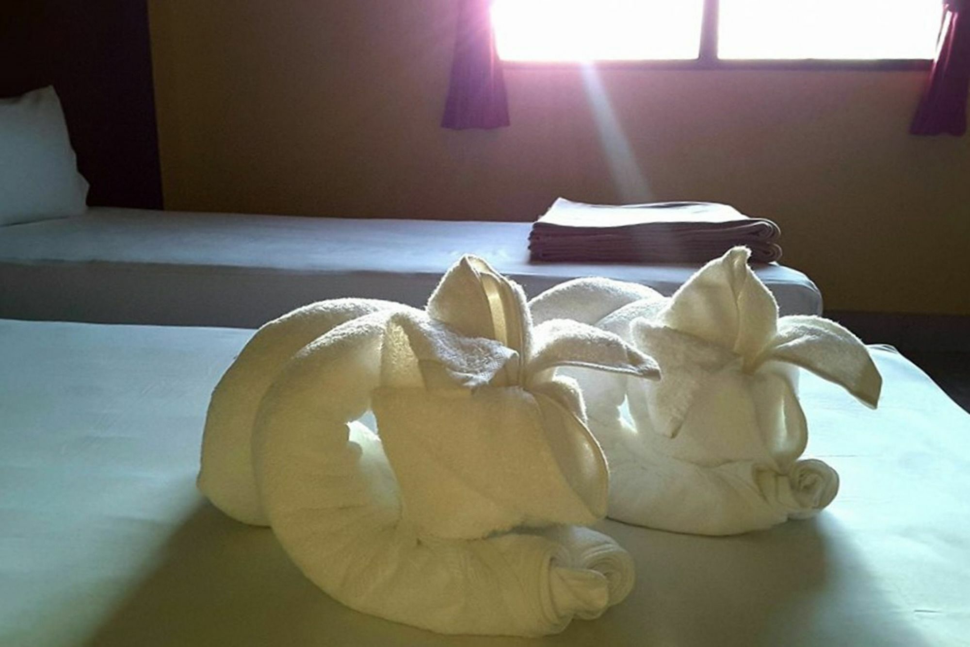 Kookkai House Pansiyon Patong Dış mekan fotoğraf